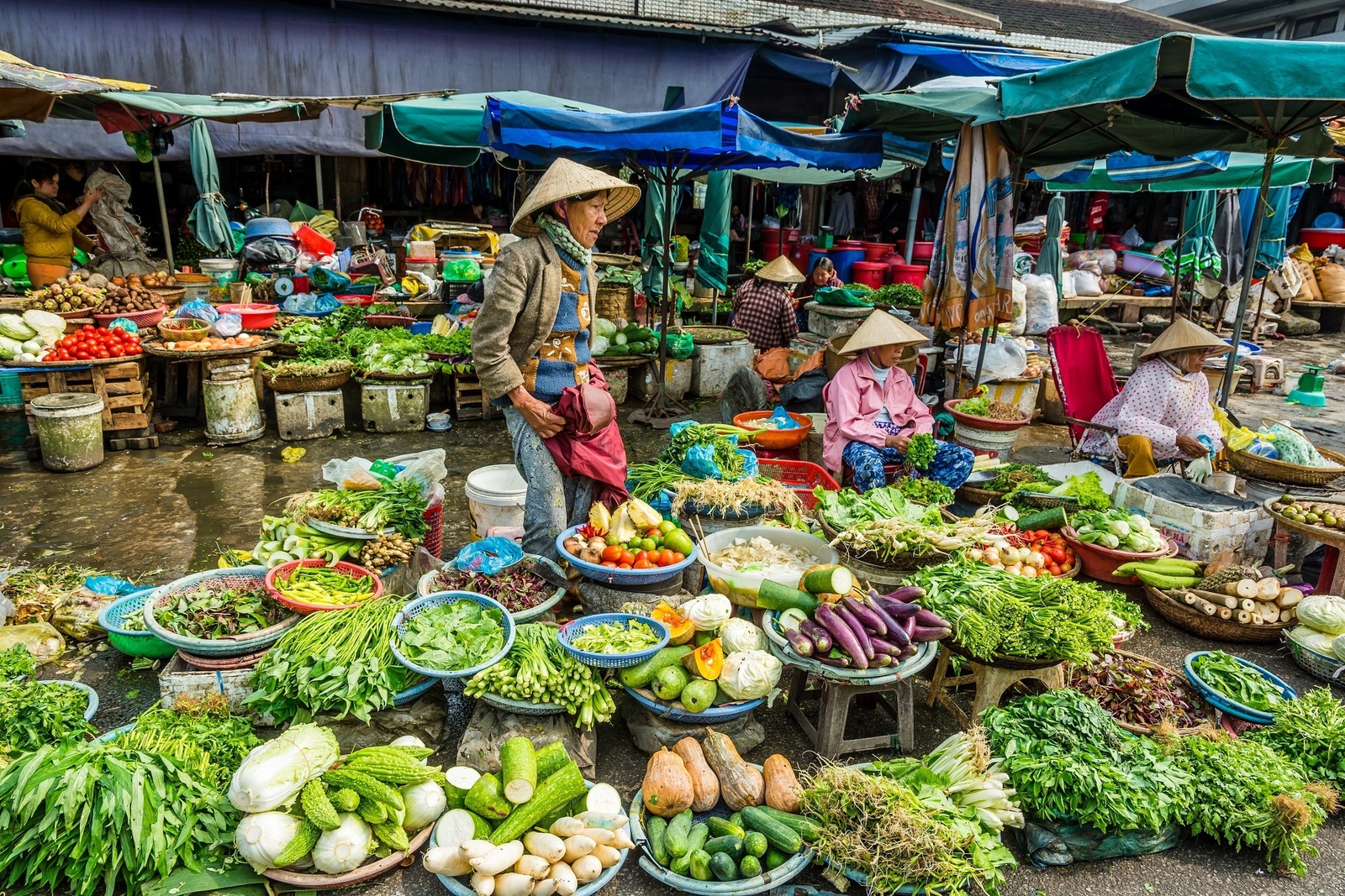 shutterstock_294278054 (2)